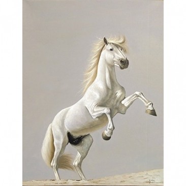 《白驹过隙—幻影》