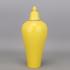 上海市博物馆一九六二年款蛋黄釉带盖梅瓶